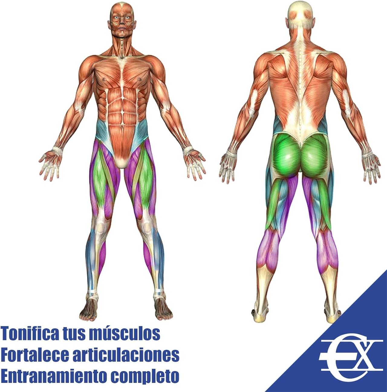 Vertical Apex High Jump Trainer